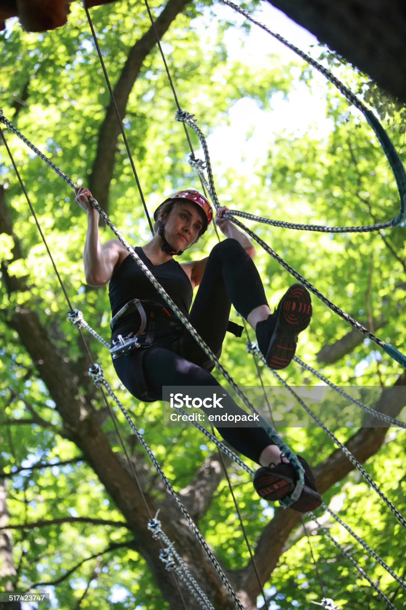 Accrobranche en forêt